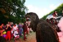 zoo legende roi singe 035 * 4368 x 2912 * (4.48MB)